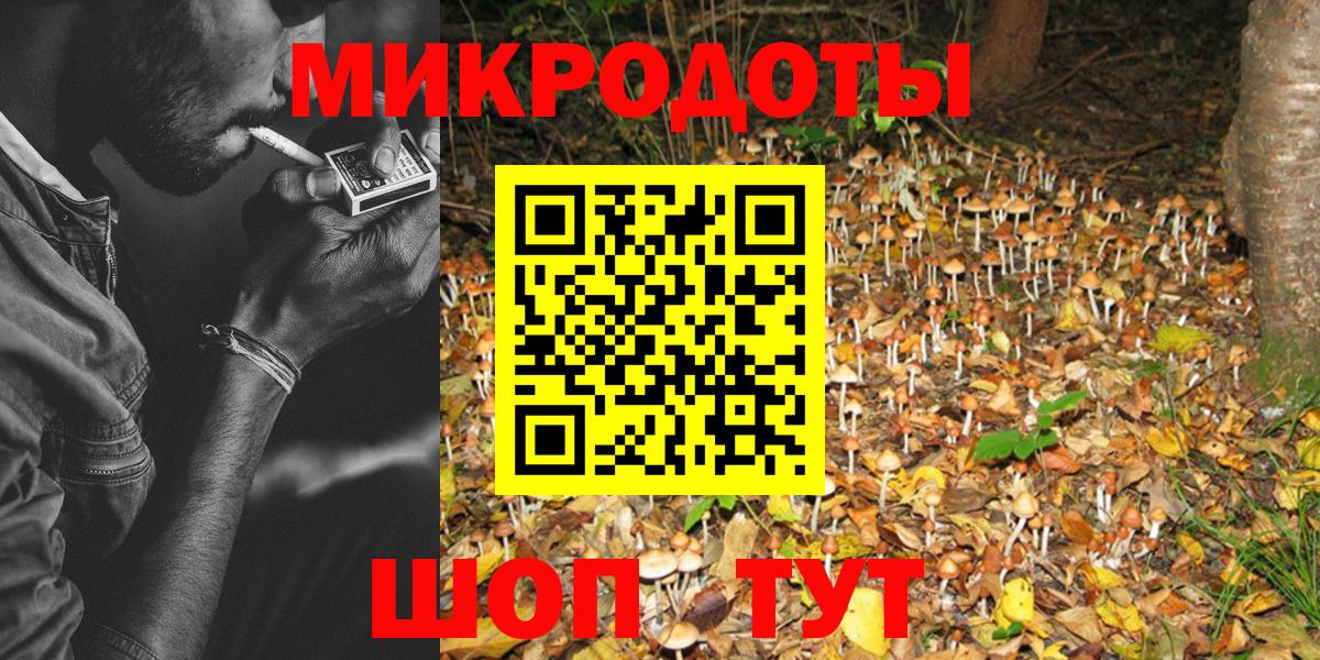 Галлюциногенные грибы Psilocybe  Вход с VPN  что такое наркотик  Саянск  Галлюциногенные грибы Psilocybine cubensis 